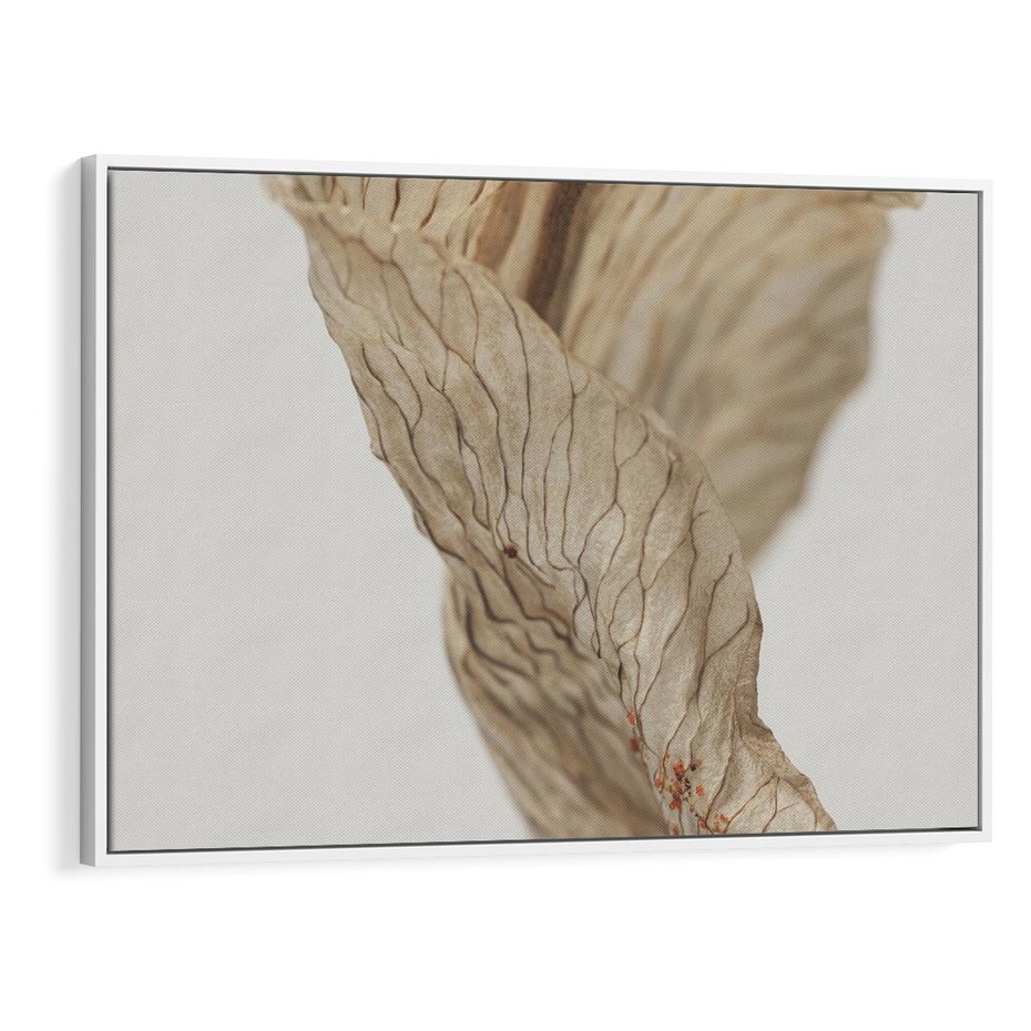 Obraz w ramie 120x80 - Suszone piękno - susz, suche - rama biała