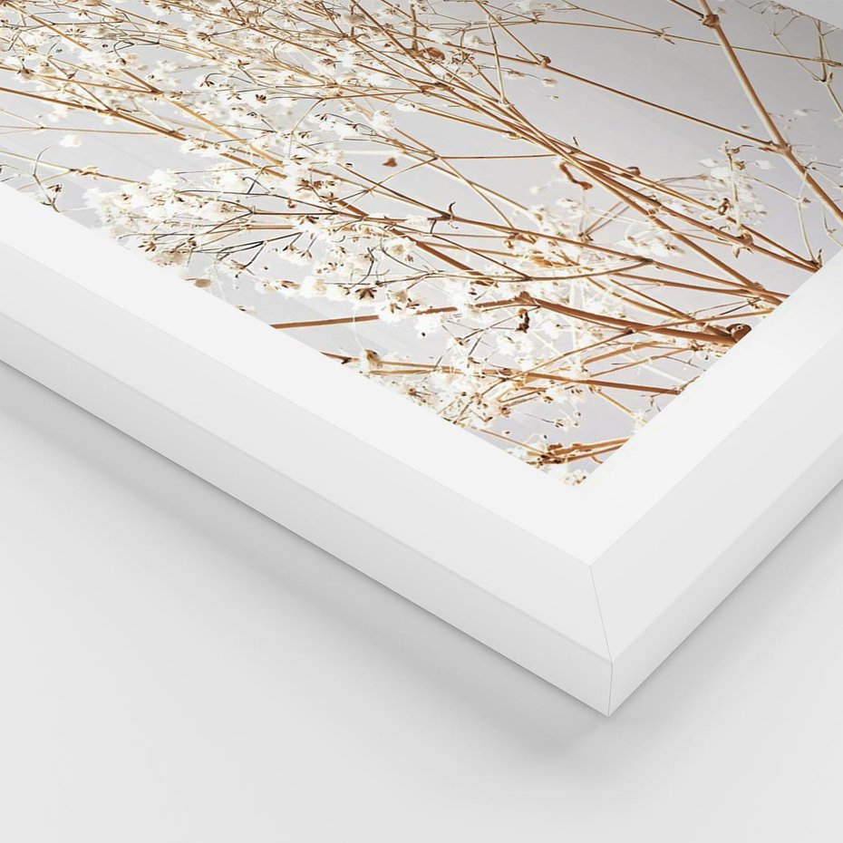 Plakat w ramie 50x70 - Minimalistyczna Delikatność - białe kwiaty, gipsówka - rama biała