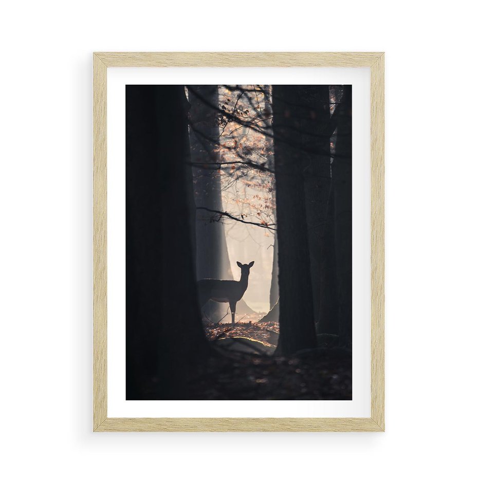 Plakat w ramie 50x70 - Sarnie Skoki - zdjęcie, klimatyczny las - rama drewno