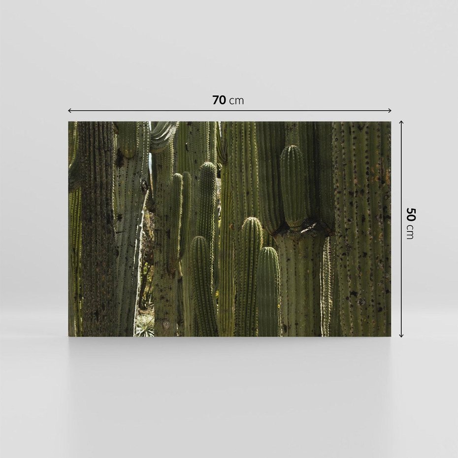 Obraz na płótnie 70x50 - Wyjątkowy Klimat Boho - kaktusy, pustynia