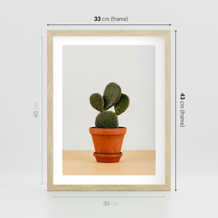 Plakat w ramie 30x40 - Kwiatowy taniec kaktusa - kaktus, kwiat - rama drewno