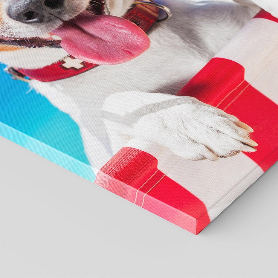 Obraz na płótnie 70x100 - Wakacyjny pies: Słoneczne przygody - pies, wakacje