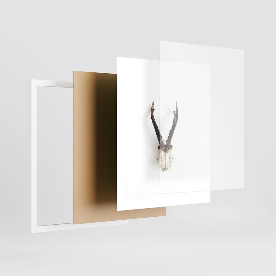 Plakat w ramie 40x50 - Minimalistyczne Poroże Jelenia - poroże jelenia na ścianie, minimalizm - rama biała