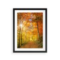 Plakat w ramie 30x40 - Złote barwy jesiennego lasu - las, jesień - rama czarna