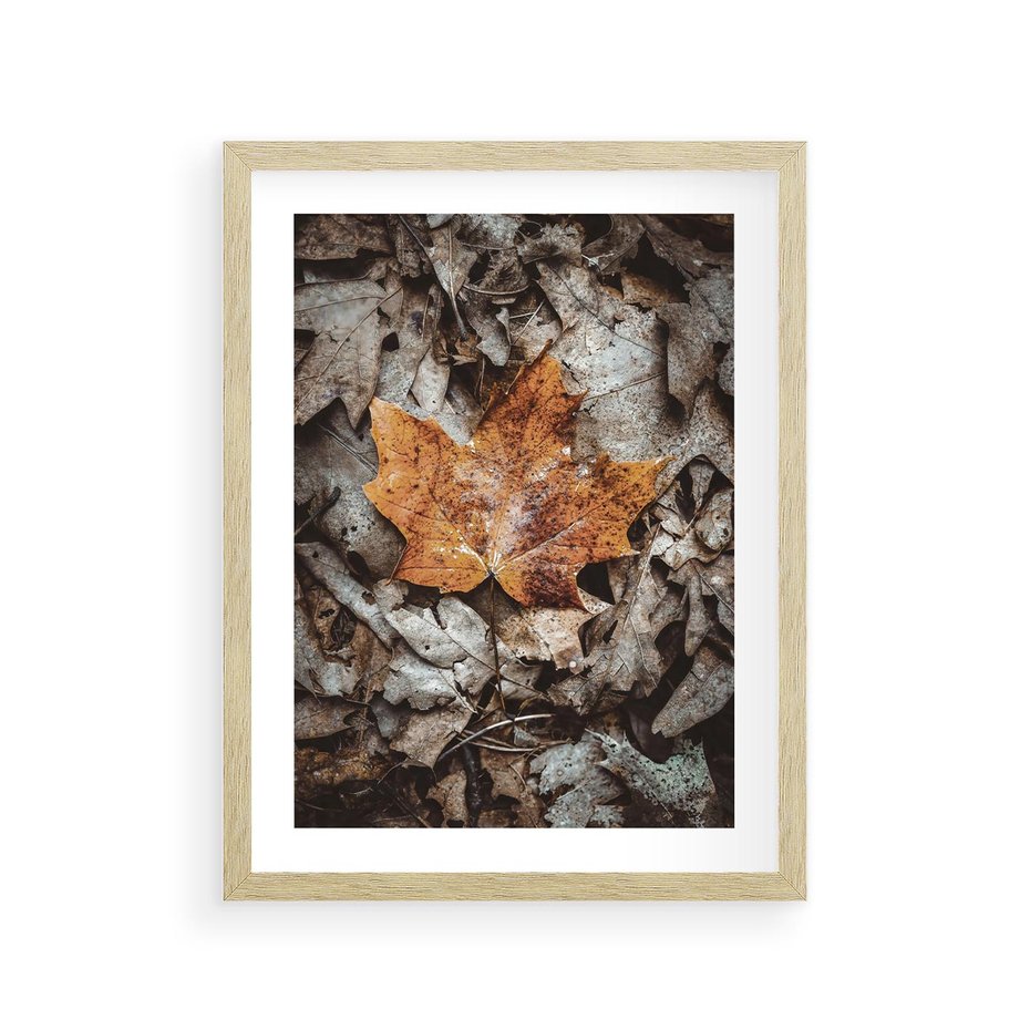 Plakat w ramie 30x40 - Jesienne Czarowanie - suchy liść, żółty - rama drewno