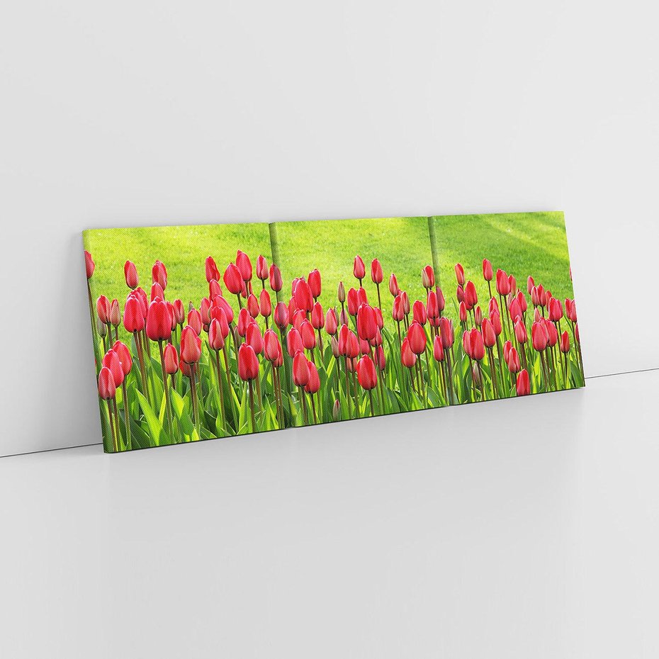 Obraz na płótnie 150x50 - Tulipanowy raj - kwiat, kwiaty