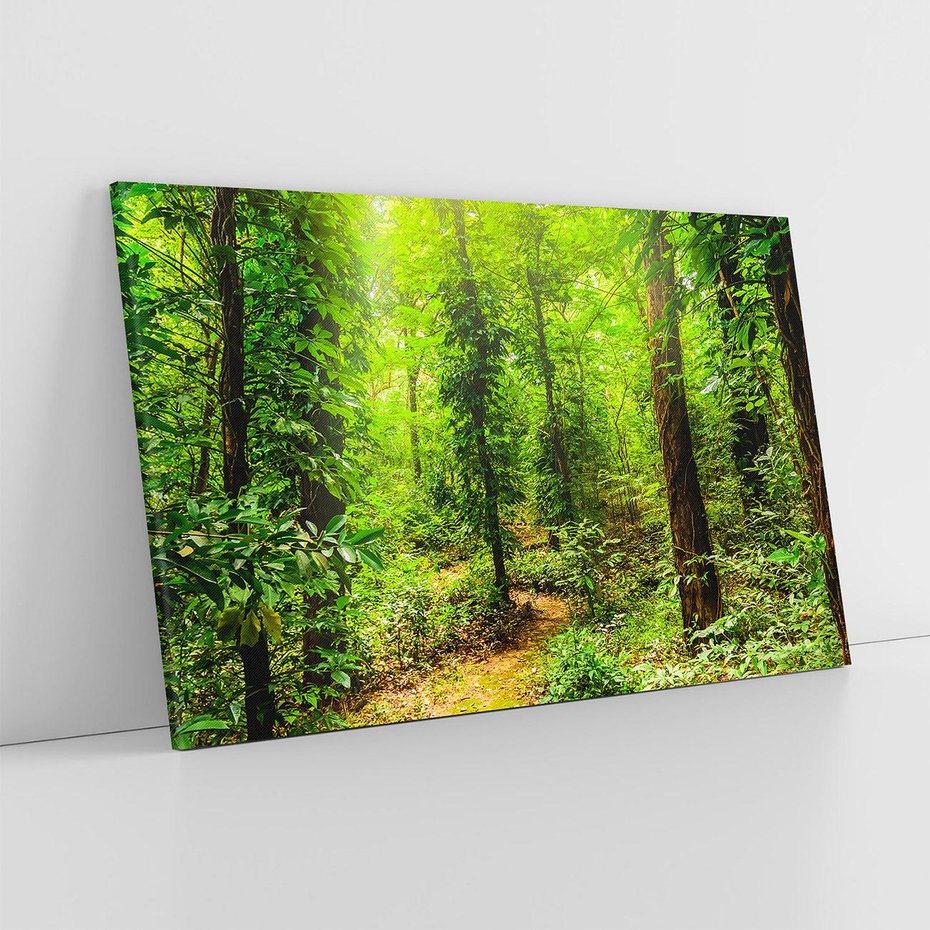 Obraz na płótnie 70x50 - Współistnienie z naturą - drzewa, las