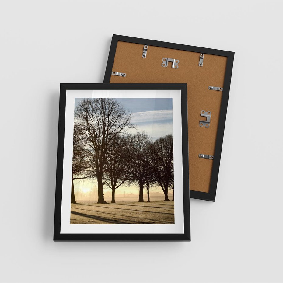 Plakat w ramie 40x50 - Siła natury - drzewa, pole - rama czarna