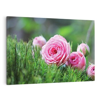 Obraz na płótnie 120x80 - Różane Ukojenie - róże, kwiaty
