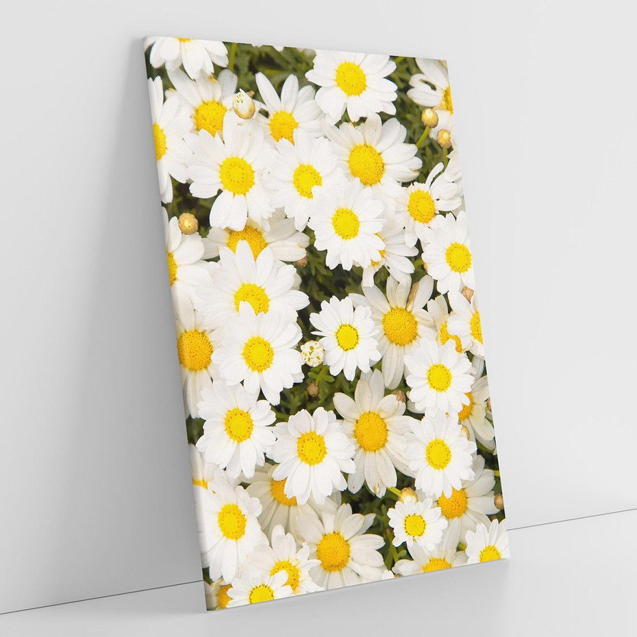 Obraz na płótnie 70x100 - Delikatność Kwiatowej Przyrody - stokrotki, kwiaty