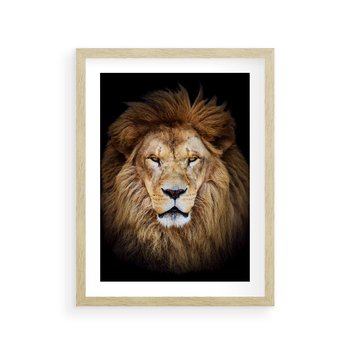 Plakat w ramie 50x70 - Król zwierząt w majestatycznym stylu - lew, król - rama drewno