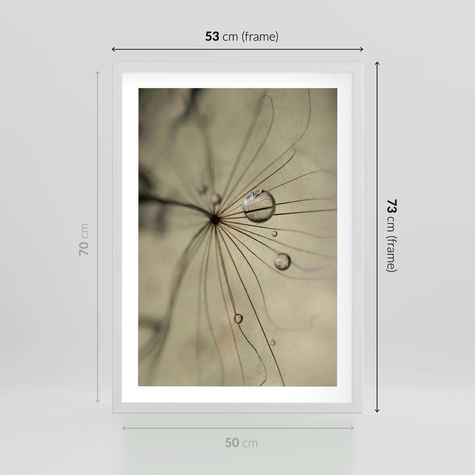 Plakat w ramie 50x70 - Delikatność dmuchawców - dmuchawce, krople - rama biała