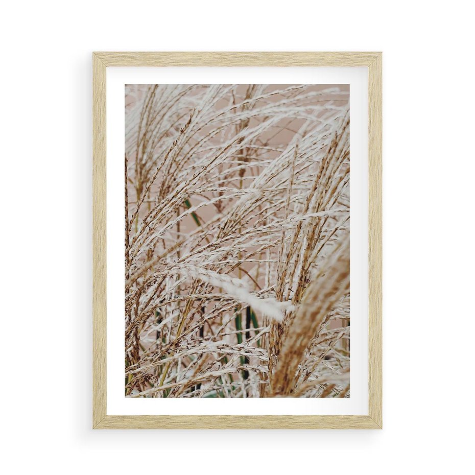 Plakat w ramie 50x70 - Beżowa Trawa - suche trawy, zbliżenie - rama drewno