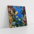 Obraz na płótnie 30x30 - Podwodne królestwo rafy koralowej - rafa, koralowa