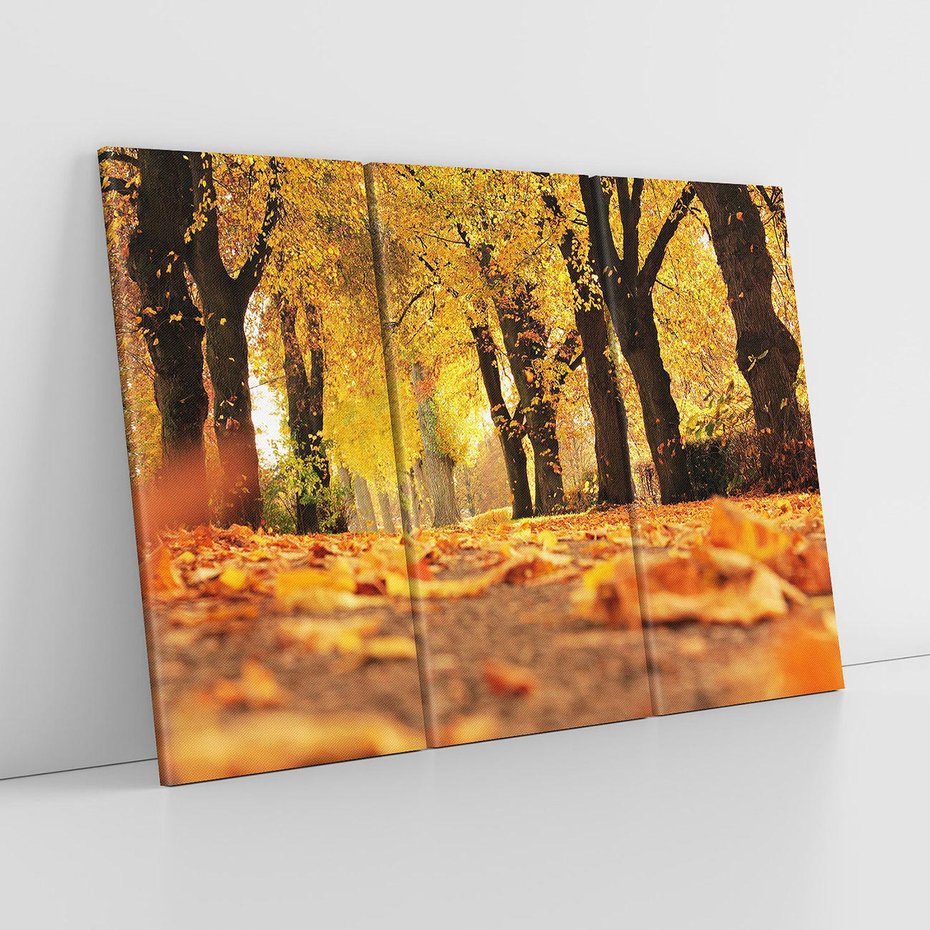 Obraz na płótnie 120x80 - Jesień, Liście, Park - Kolorowa Symfonia - jesień, liście