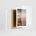 Plakat w ramie 30x40 - Sucha Trawa w Odcieniach Sepii - suche trawy, łąka odcienie beżu - rama biała