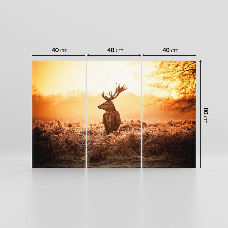 Obraz na płótnie 120x80 - Magia jesiennego słońca: Jeleń w promieniach - jeleń, jesień