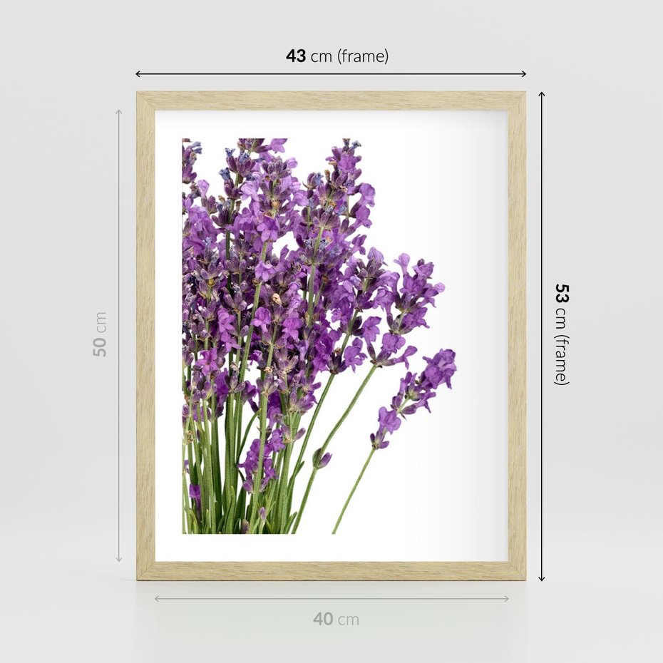 Plakat w ramie 40x50 - Pola lawendy w pełnym rozkwicie - lawenda, kwiaty - rama drewno