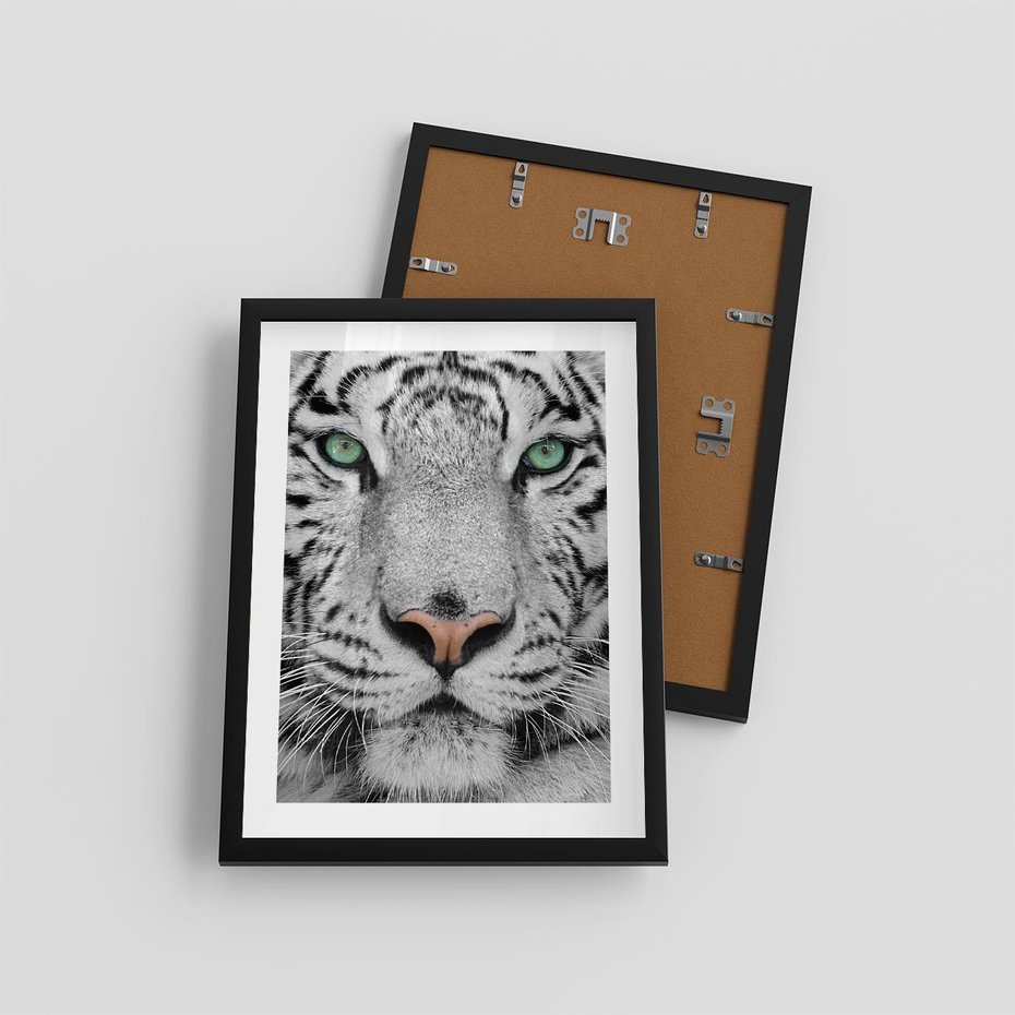 Plakat w ramie 30x40 - Magia Białego Tygrysa - biały, tygrys - rama czarna