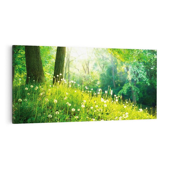 Obraz na płótnie 100x50 - Urok natury - magiczny las na płótnie - las, trawa