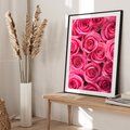 Plakat bez ramy 50x70 - Romantyczne róże w pełnym rozkwicie - róże, kwiaty