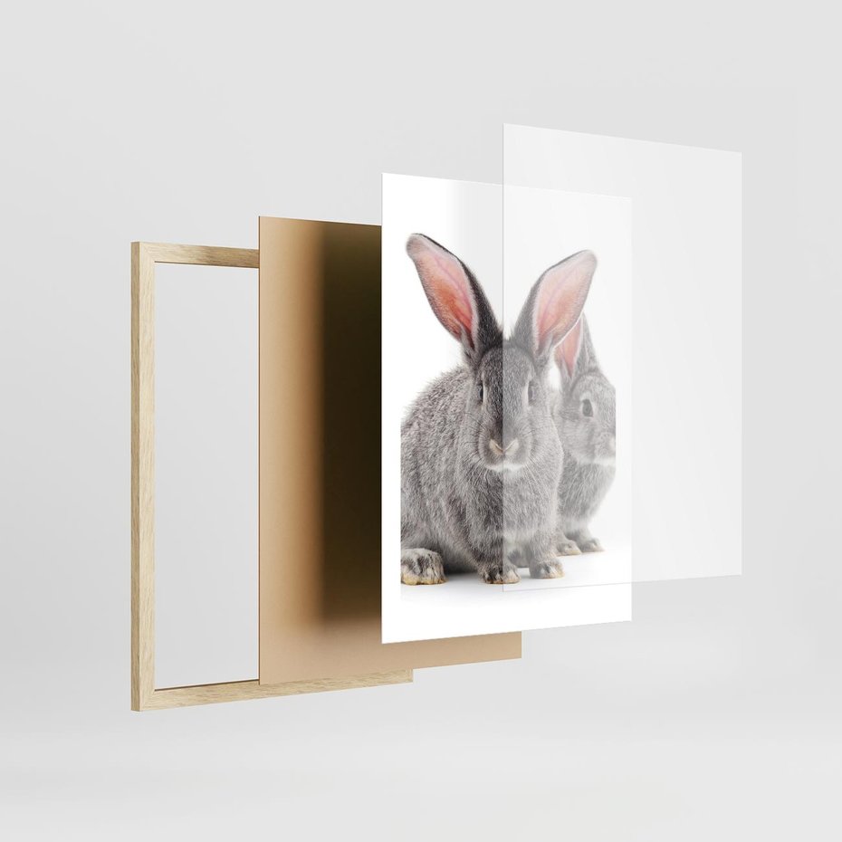 Plakat w ramie 50x70 - Uroczy królik wśród natury - królik, zając - rama drewno