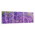 Obraz na płótnie 90x30 - Zaklęta lawenda - lawenda, kwiaty