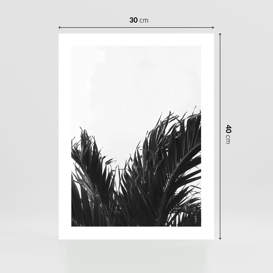 Plakat bez ramy 30x40 - Tropikalna Uroda w Czerni i Bieli - fotografia czarno biała, liście palmy