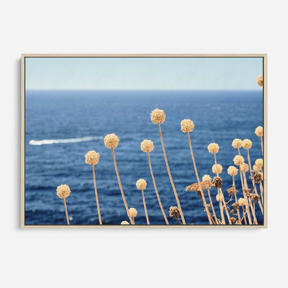 Obraz w ramie 120x80 - Kontrasty Natury - fotografia, pierwszy plan sucha roślinność - rama drewno