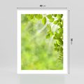 Plakat bez ramy 40x50 - Zielone liście natury - liści, zieleń