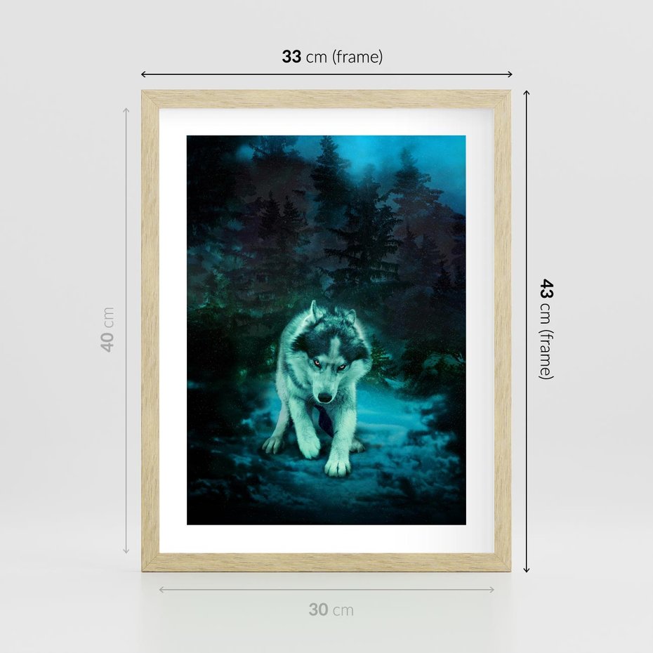 Plakat w ramie 30x40 - Siła i wdzięk natury - wilk, husky - rama drewno
