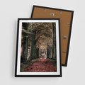 Plakat w ramie 50x70 - Spacer po Leśnej Drodze - ścieżka w lesie, jesień suche liście - rama czarna