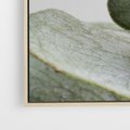 Obraz w ramie 100x70 - Eukaliptusowa zieleń - eukaliptus, zielone - rama drewno