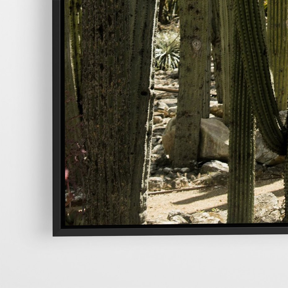 Obraz w ramie 70x100 - Wyjątkowy Klimat Boho - kaktusy, pustynia - rama czarna