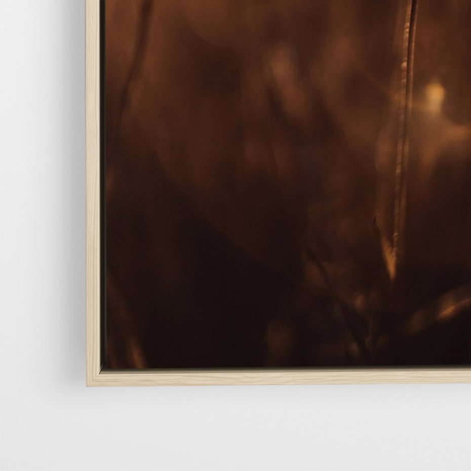 Obraz w ramie 50x70 - Spokój łąki pod zachodem słońca - zachód, słońca - rama drewno