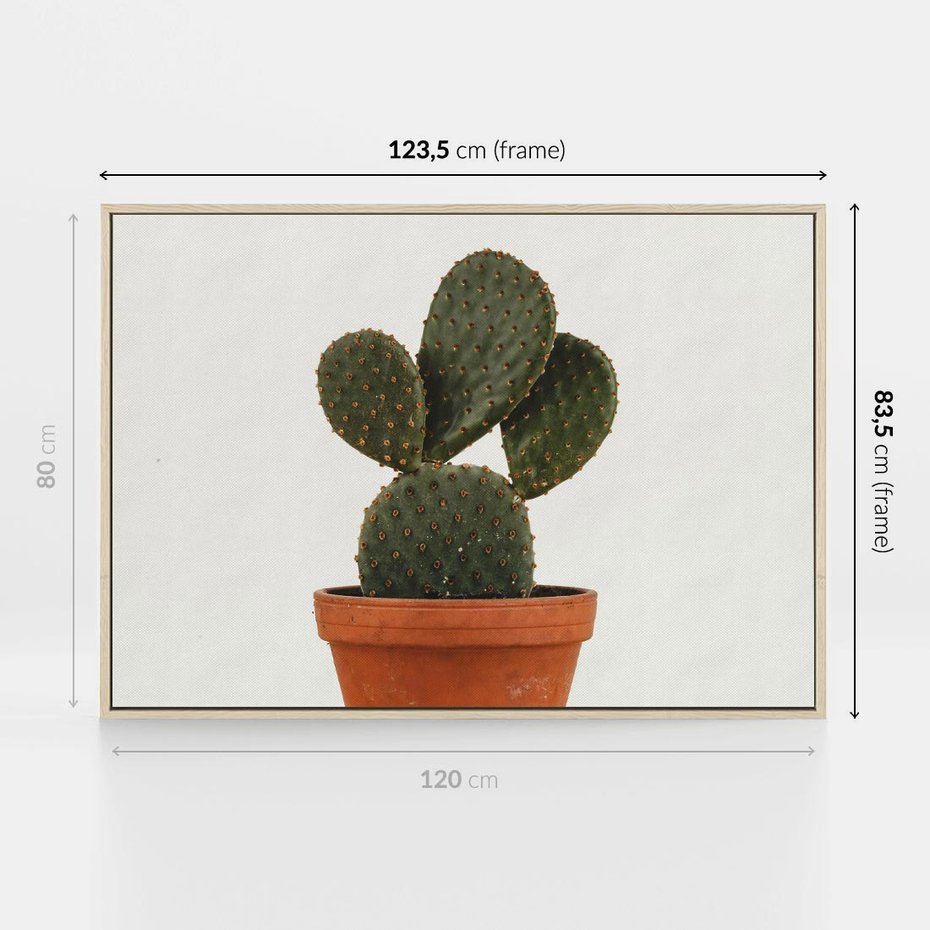 Obraz w ramie 120x80 - Kwiatowy taniec kaktusa - kaktus, kwiat - rama drewno