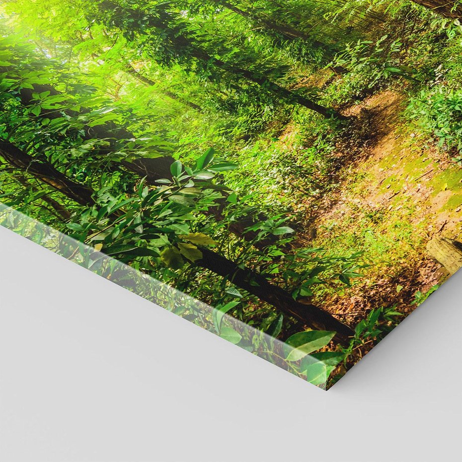 Obraz na płótnie 40x40 - Współistnienie z naturą - drzewa, las