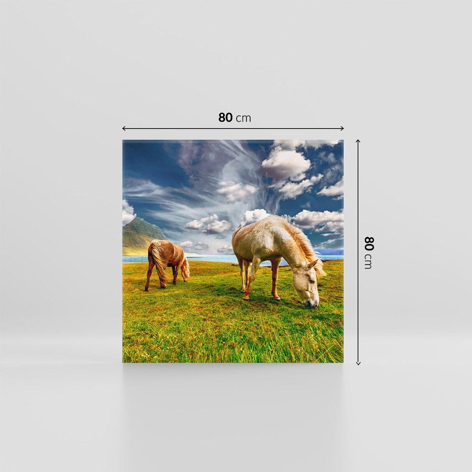 Obraz na płótnie 80x80 - Konie na łące przy jeziorze: Siła natury - konie, łąka