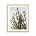 Plakat w ramie 40x50 - Ekskluzywna Roślinność - kaktusy, liście - rama drewno