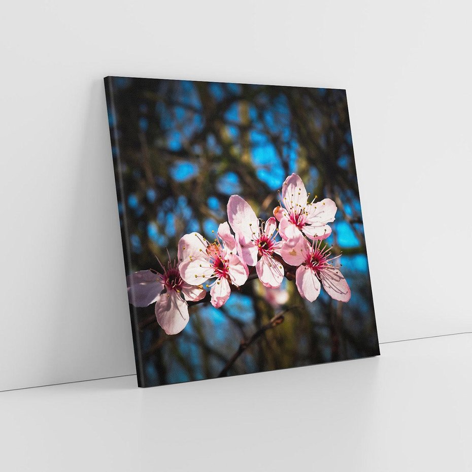 Obraz na płótnie 50x50 - Kwiatowe piękno w pełnym rozkwicie - kwiat, kwiaty