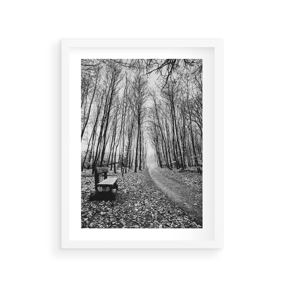 Plakat w ramie 30x40 - Spadające Liście - czarno białe zdjecie, park - rama biała