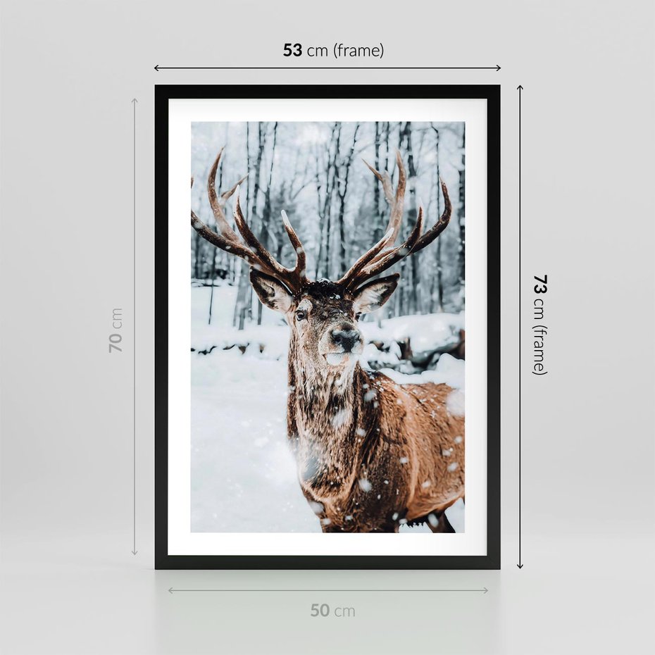 Plakat w ramie 50x70 - Jeleń na Zdjęciu pod Śniegiem - jeleń, zima - rama czarna