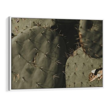 Obraz w ramie 100x70 - Urok Egzotyki - kaktusy, boho - rama biała