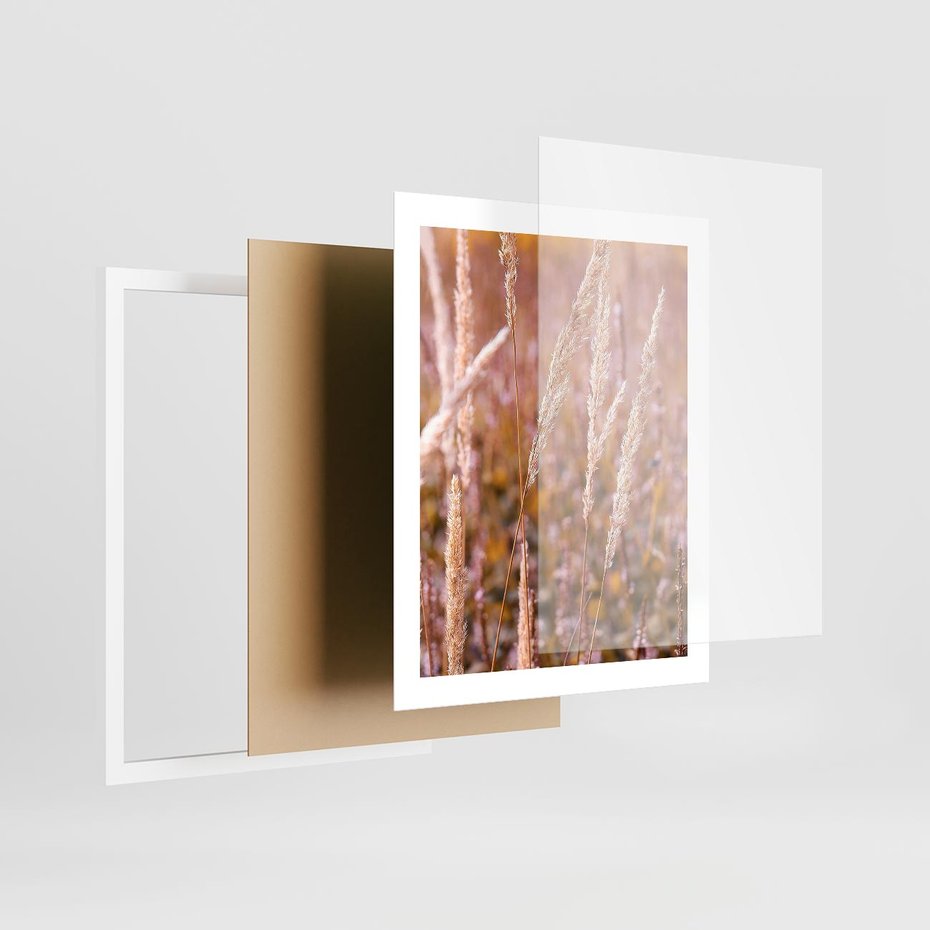 Plakat w ramie 40x50 - Sucha Trawa w Sierpniu - trawy, łąka - rama biała