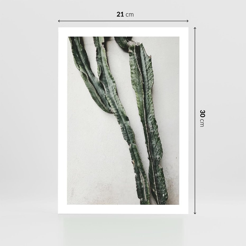 Plakat bez ramy 21x30 - Zielona Roślina z Liśćmi - zielona roślina, liście