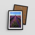 Plakat w ramie 30x40 - Fioletowa Magia - pole, lawendy - rama czarna