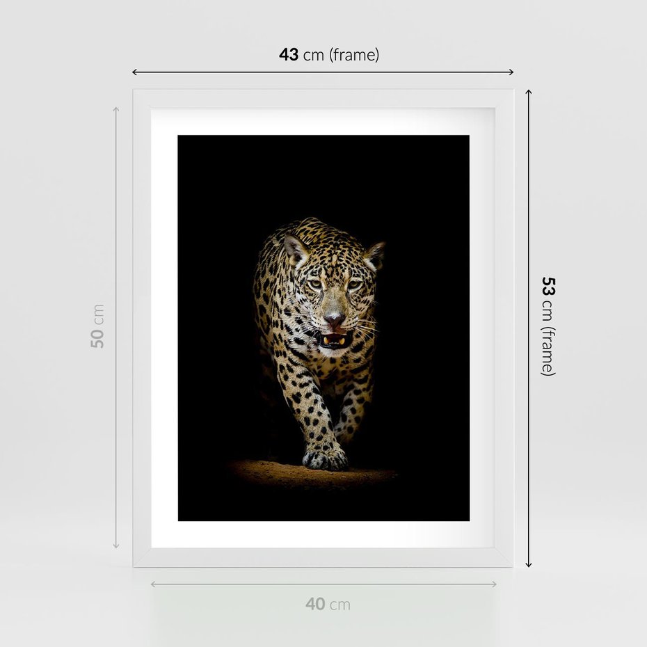 Plakat w ramie 40x50 - Elegancja lamparta - lampart, pantera - rama biała