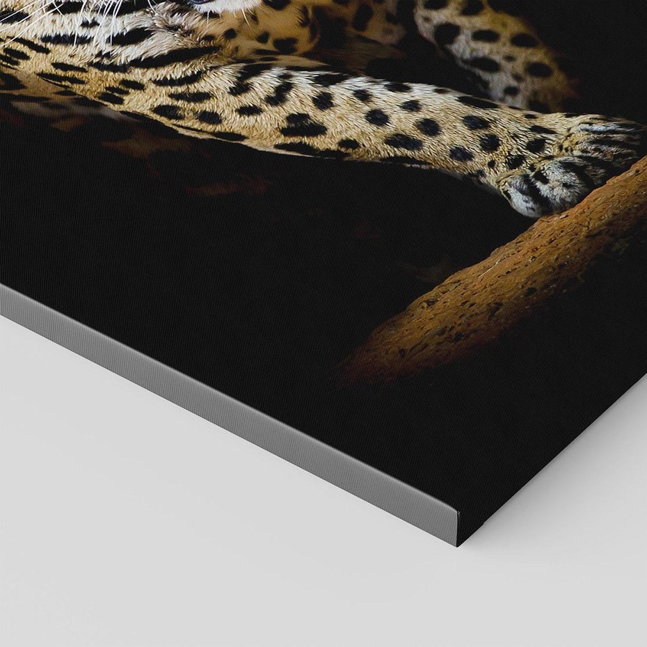 Obraz na płótnie 50x70 - Elegancja lamparta - lampart, pantera