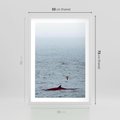 Plakat w ramie 50x70 - Spotkanie z Orką - morze, ocean - rama biała