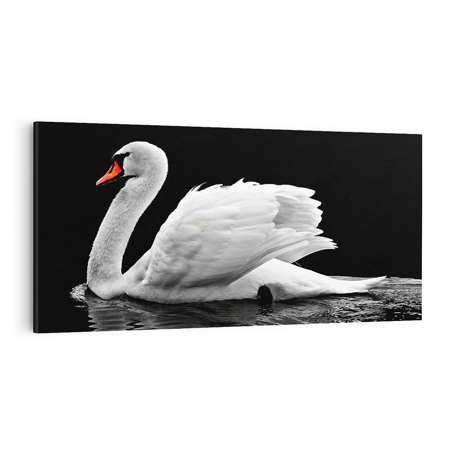 Obraz na płótnie 140x70 - Delikatne Uderzenie Skrzydeł Łabędzia - łabędź, ptak